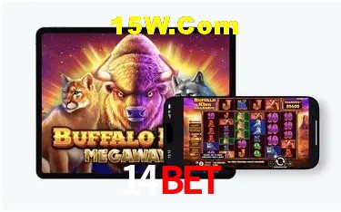 Bonus Features 14Bet